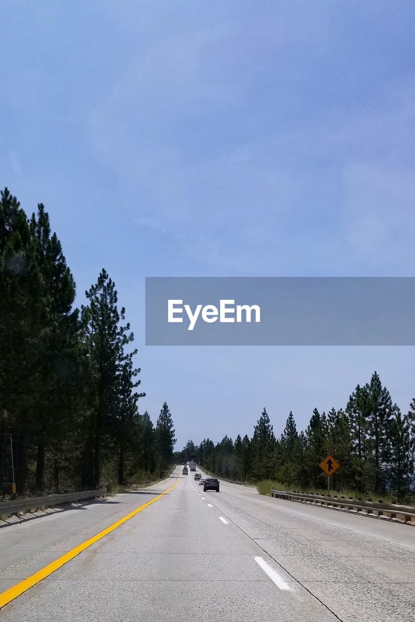 ROAD AMIDST TREES AND PLANTS AGAINST SKY