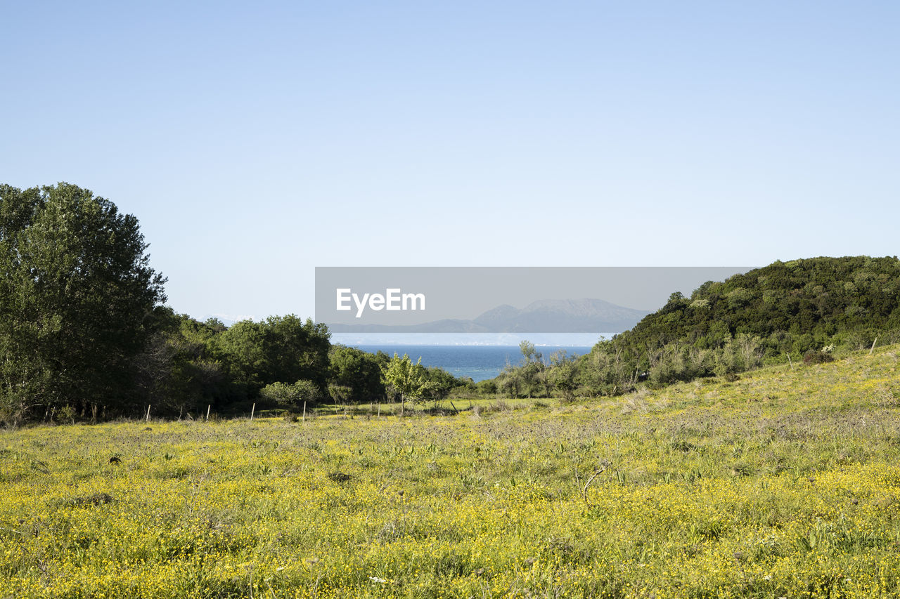 SCENIC VIEW OF LAND AGAINST CLEAR SKY