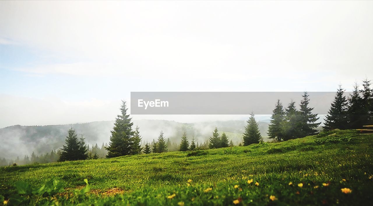 SCENIC VIEW OF LAND AGAINST SKY