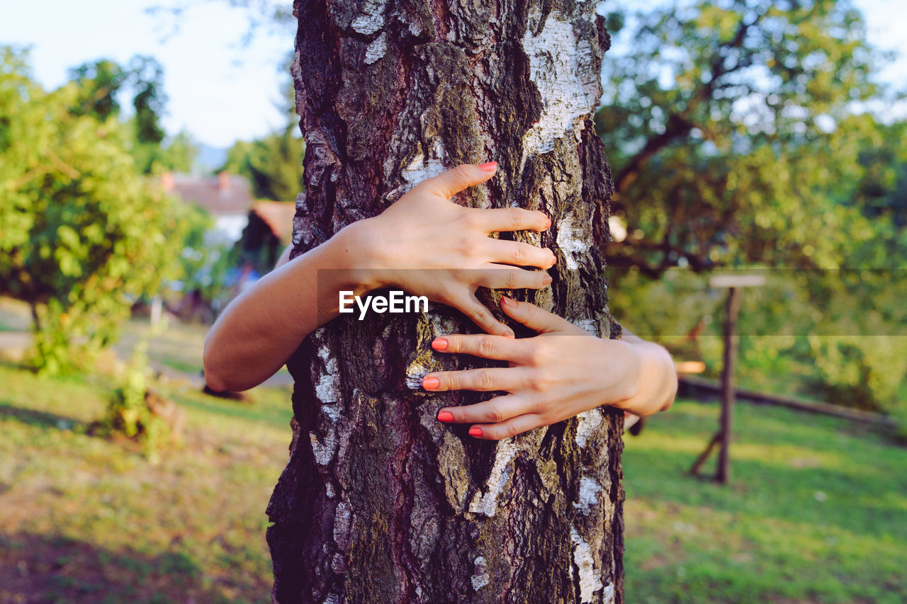 Cropped hands of woman embracing tree trunk