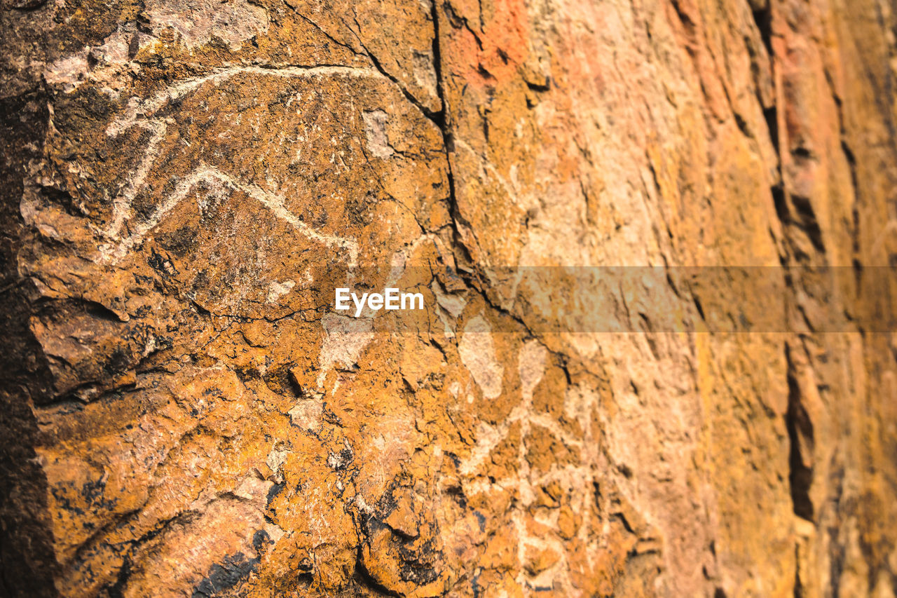 textured, backgrounds, soil, full frame, no people, nature, rock, close-up, pattern, rough, geology, day, brown, outdoors, wood, history, ancient, rock formation, formation, tree trunk, tree, land, architecture