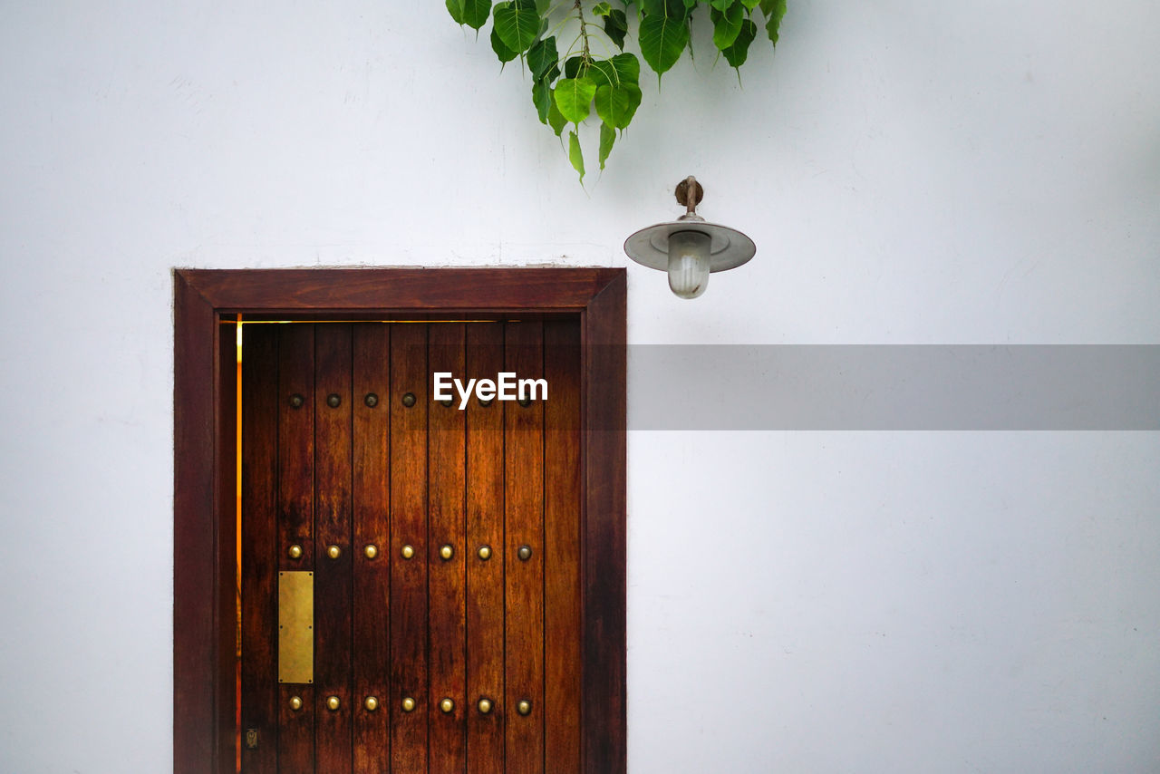 VIEW OF POTTED PLANT ON WALL