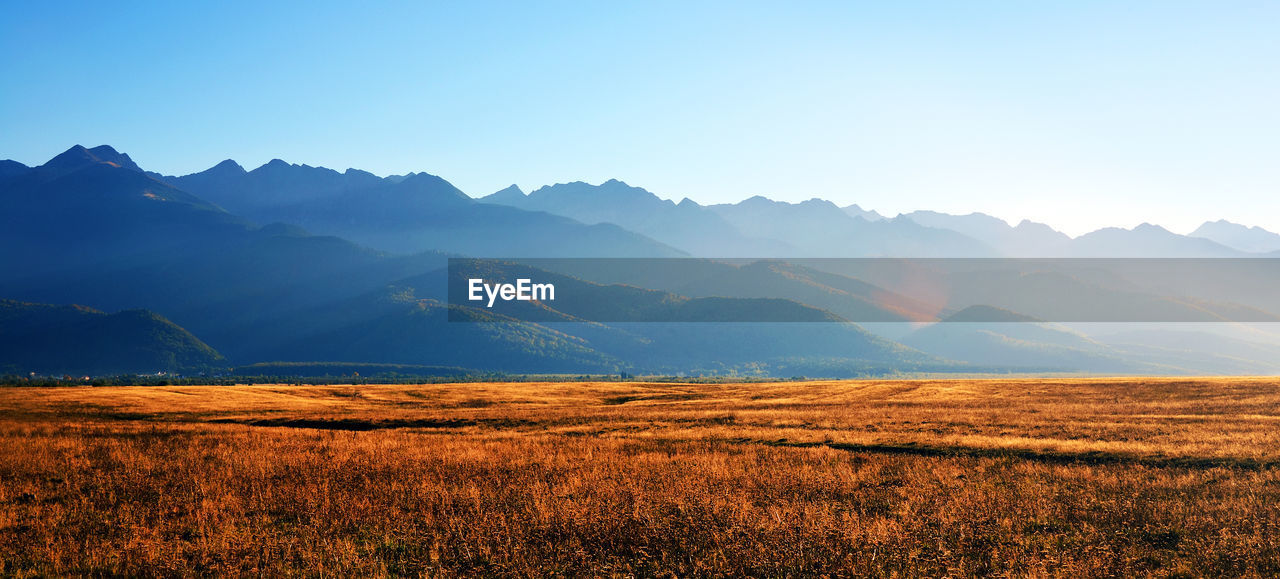 Scenic view of field against clear sky