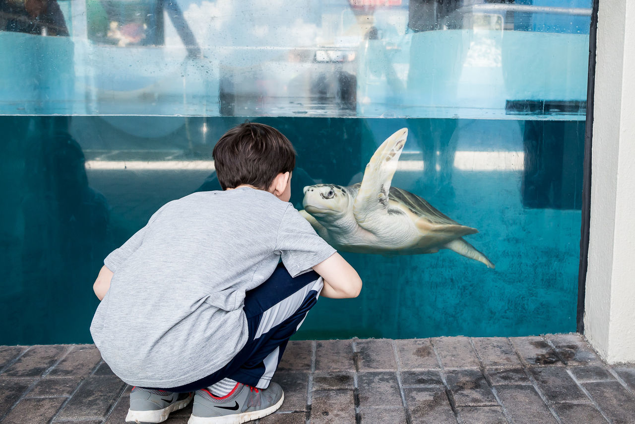 REAR VIEW OF A YOUNG MAN