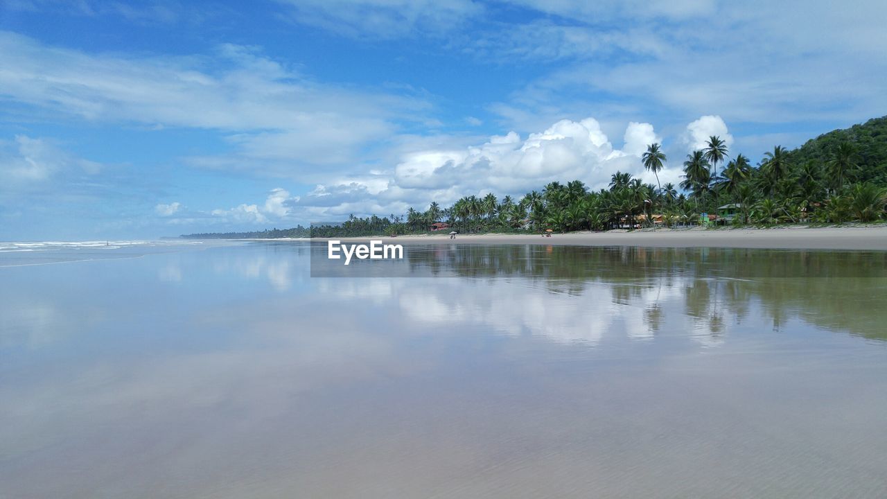 Surface level of calm sea against the sky