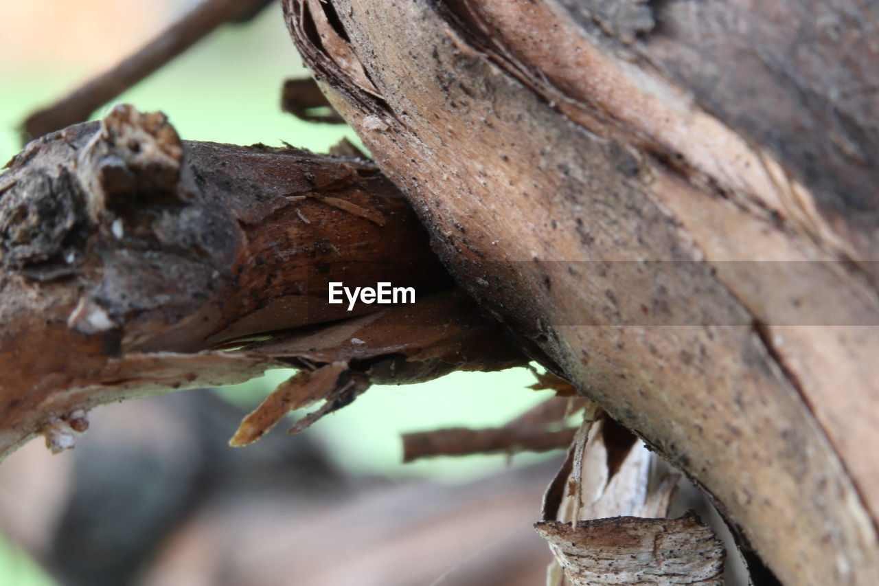 CLOSE-UP OF RUSTY CHAIN