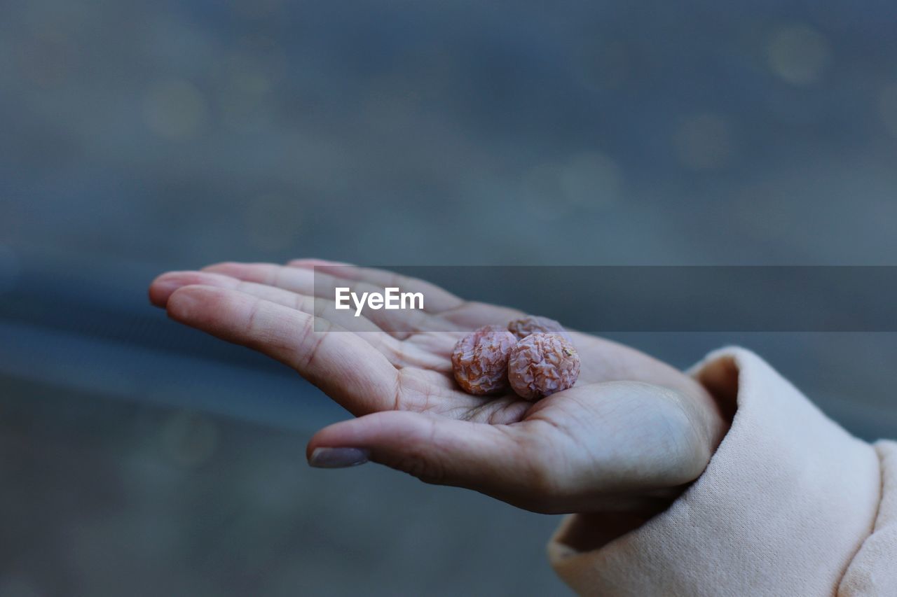 Close-up of hand holding food