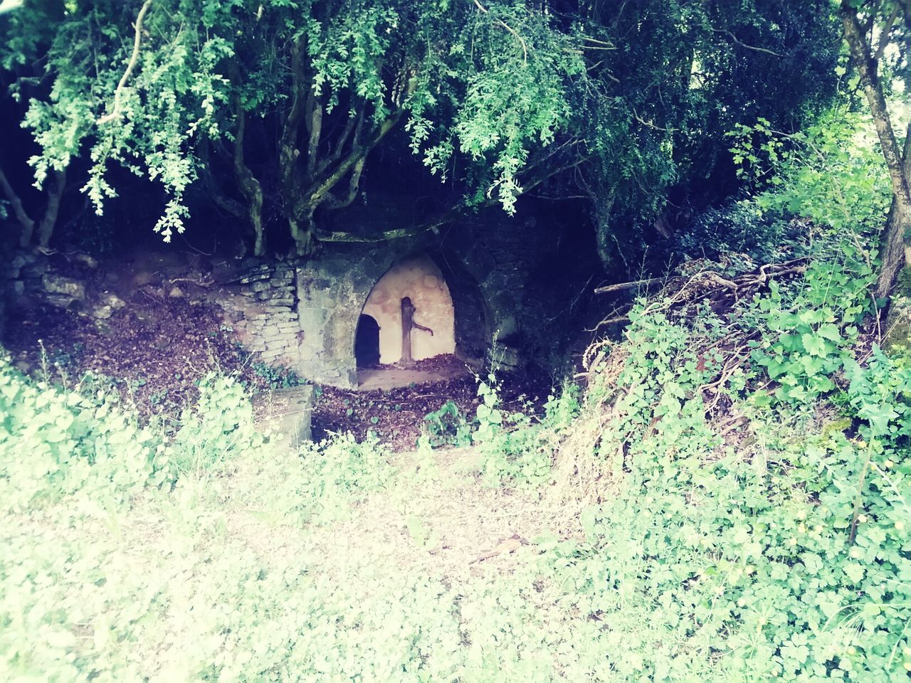 Small structure in forest