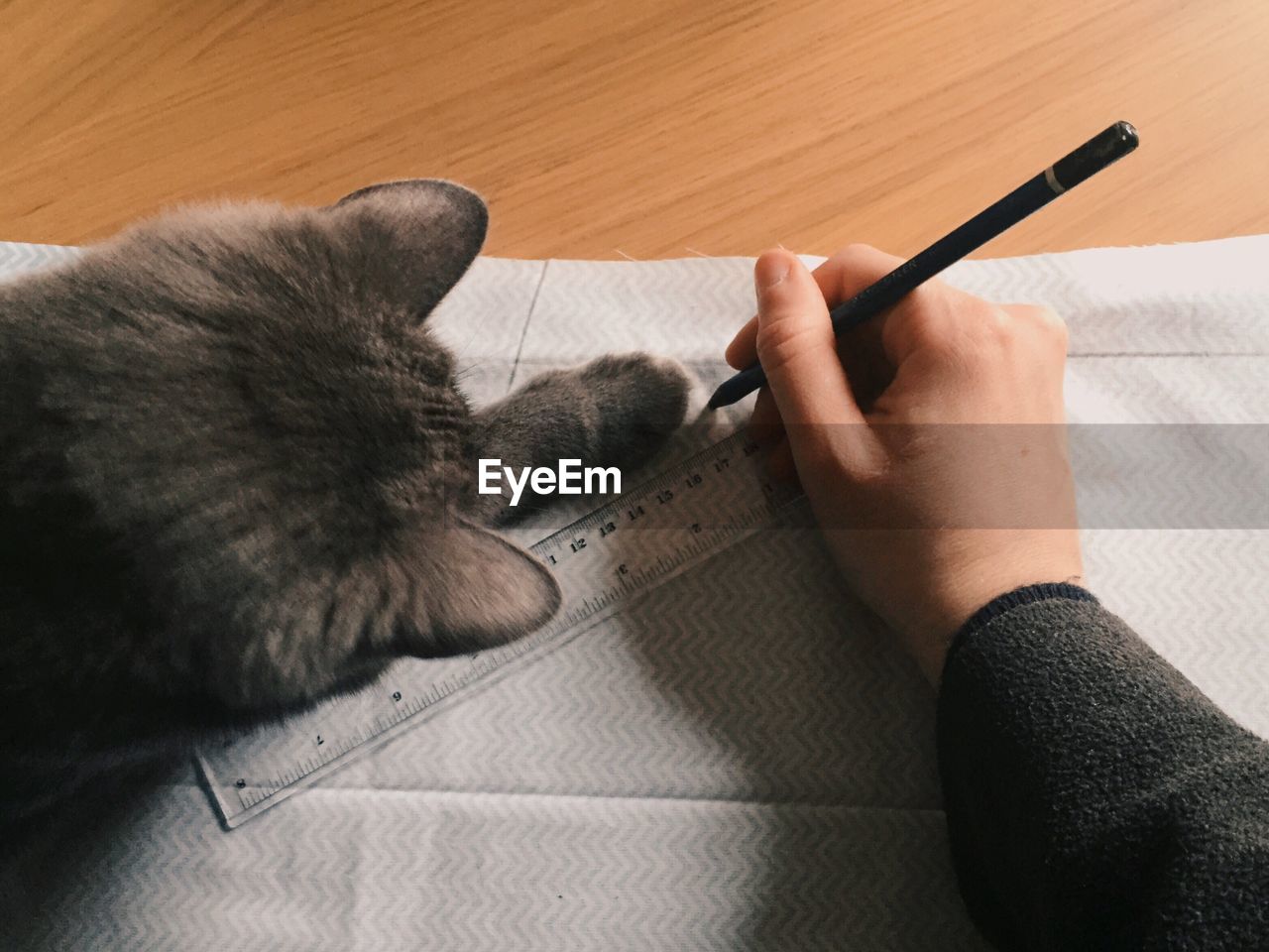 Cropped image of tailor marking on fabric with cat on table