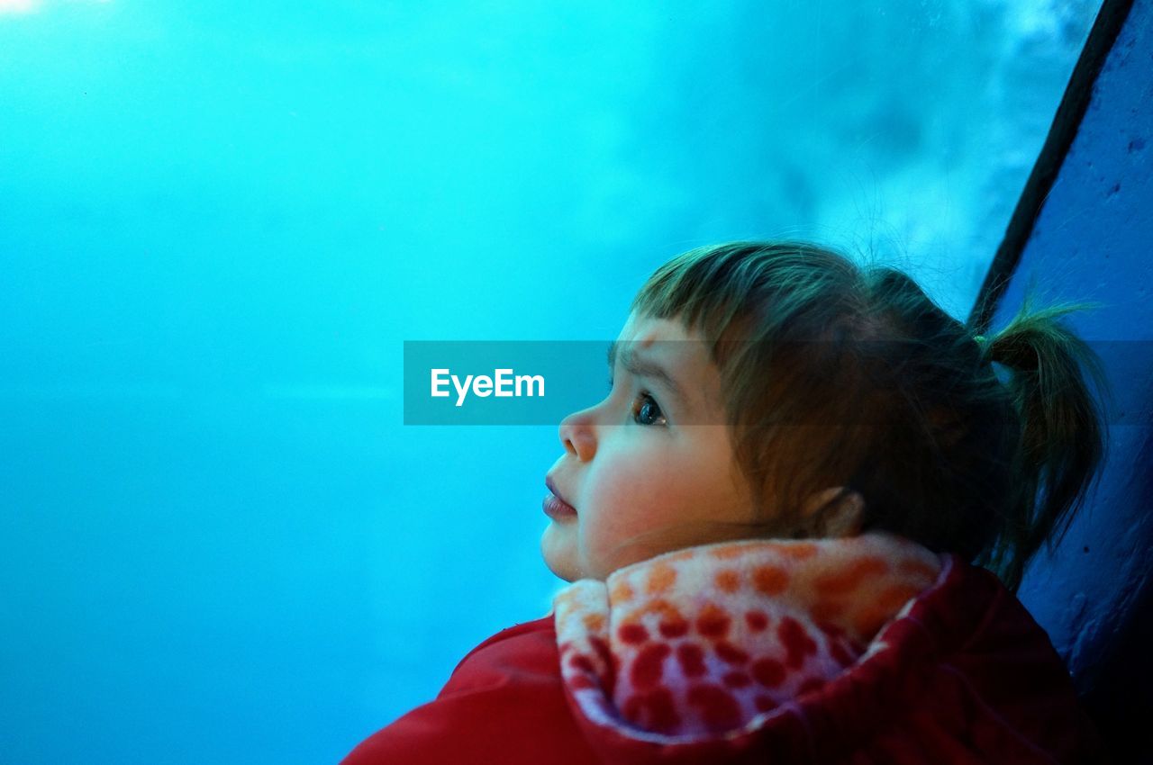 Curious girl looking at fish tank in aquarium