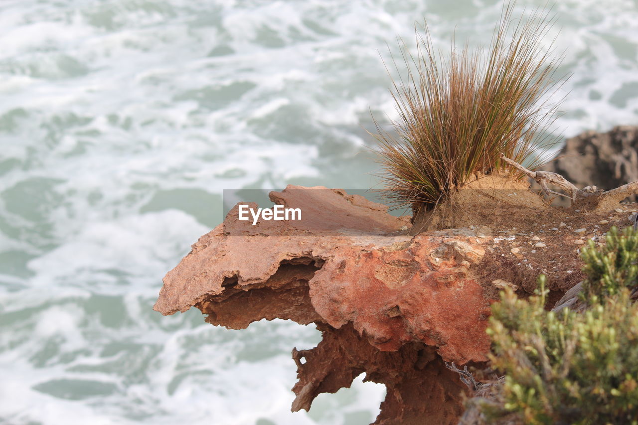 Close-up of rock against sea