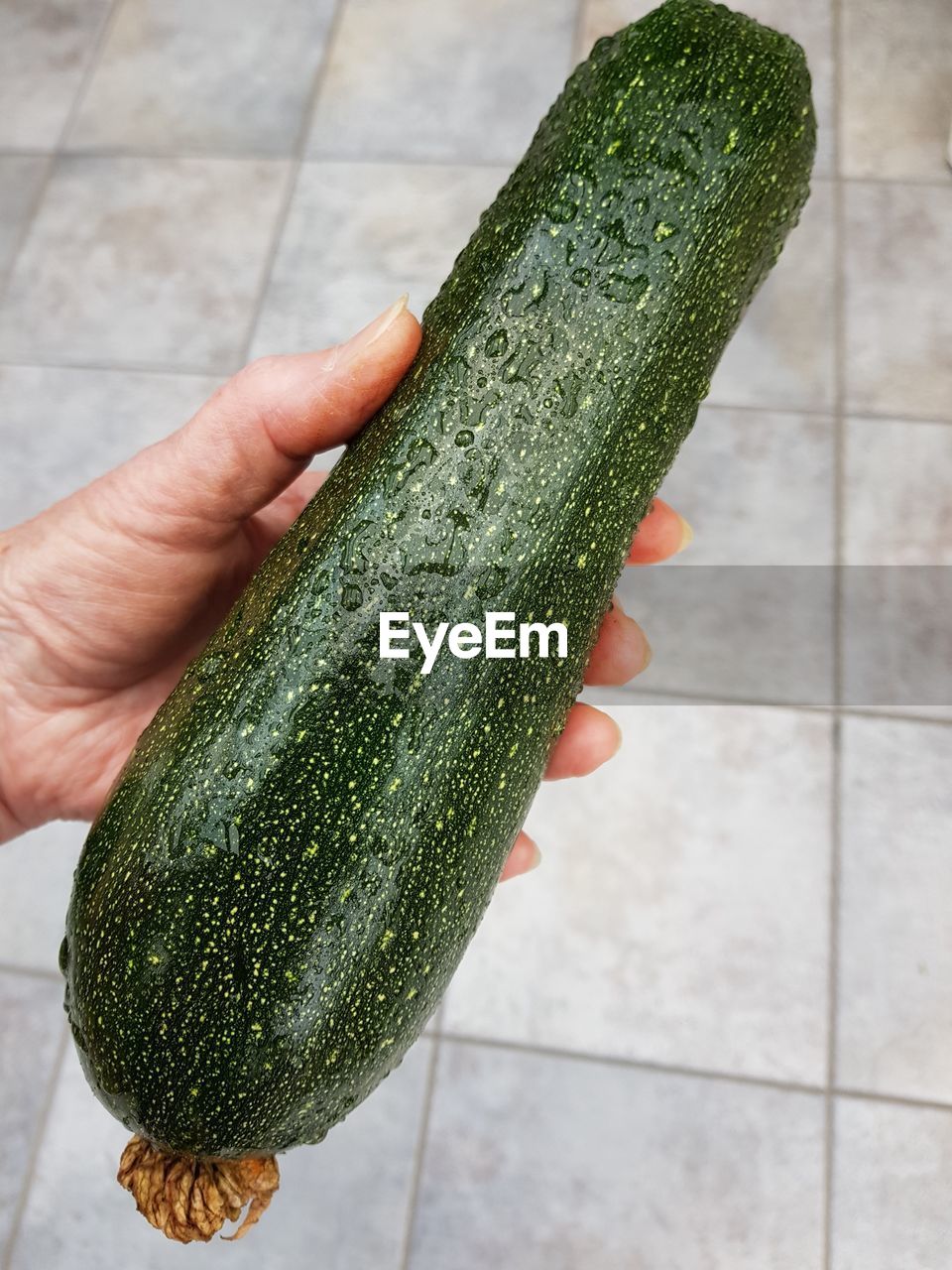 Closeup of zucchini