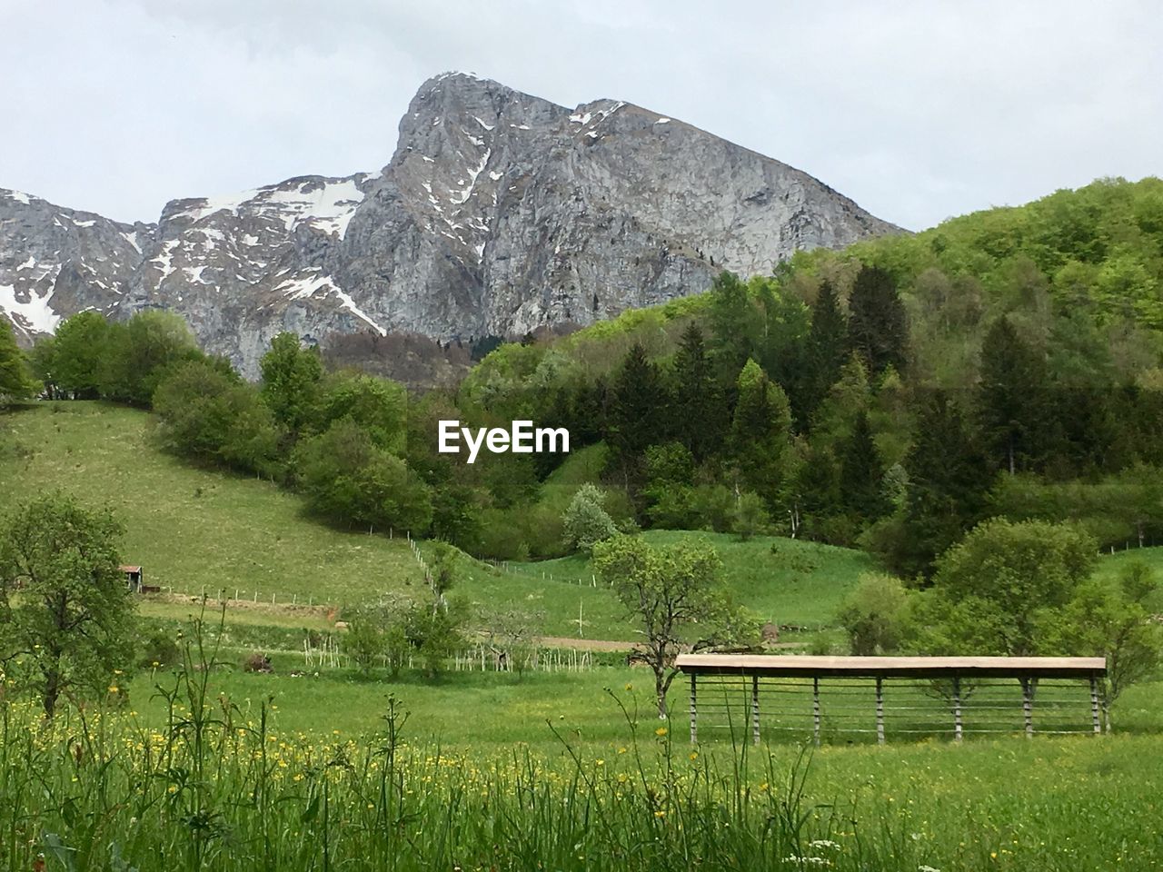 SCENIC VIEW OF FIELD AGAINST MOUNTAINS