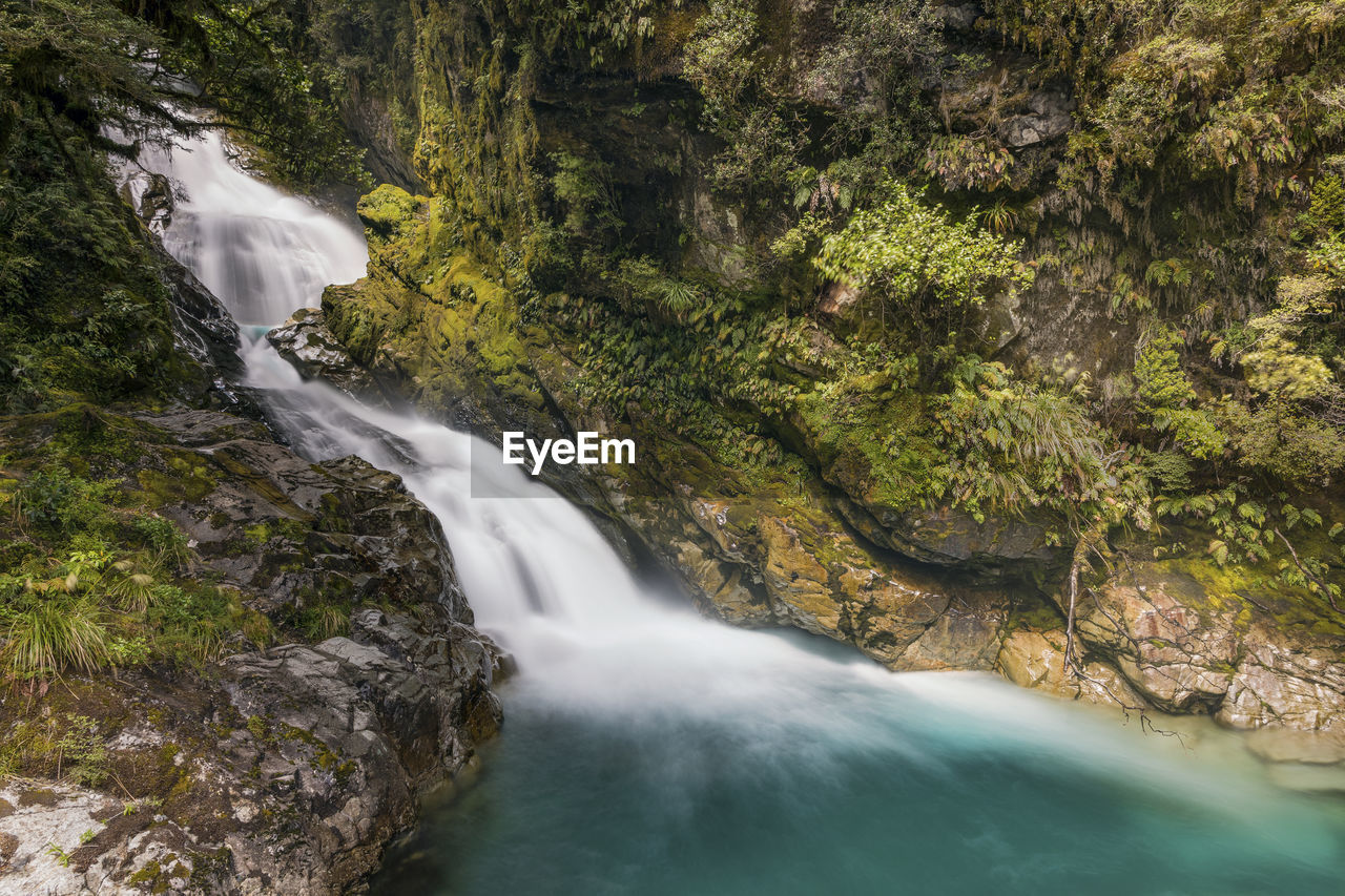 Scenic view of waterfall in forest