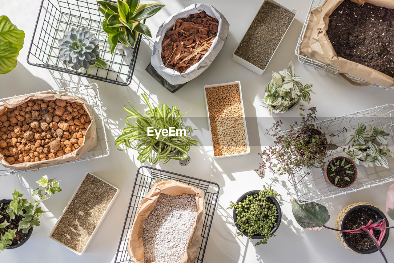 food and drink, food, plant, herb, high angle view, houseplant, variation, indoors, spice, ingredient, nature, healthy eating, no people, produce, flowerpot, freshness, vegetable, meal, potted plant, wellbeing, rosemary, leaf, directly above, studio shot, table, dish