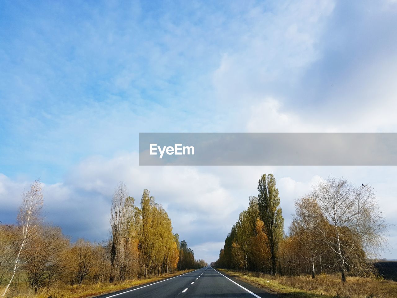 ROAD AND TREES AGAINST SKY