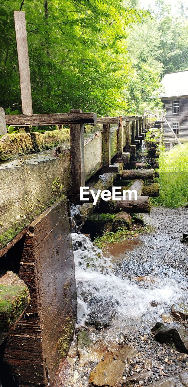 PLANTS GROWING BY CANAL