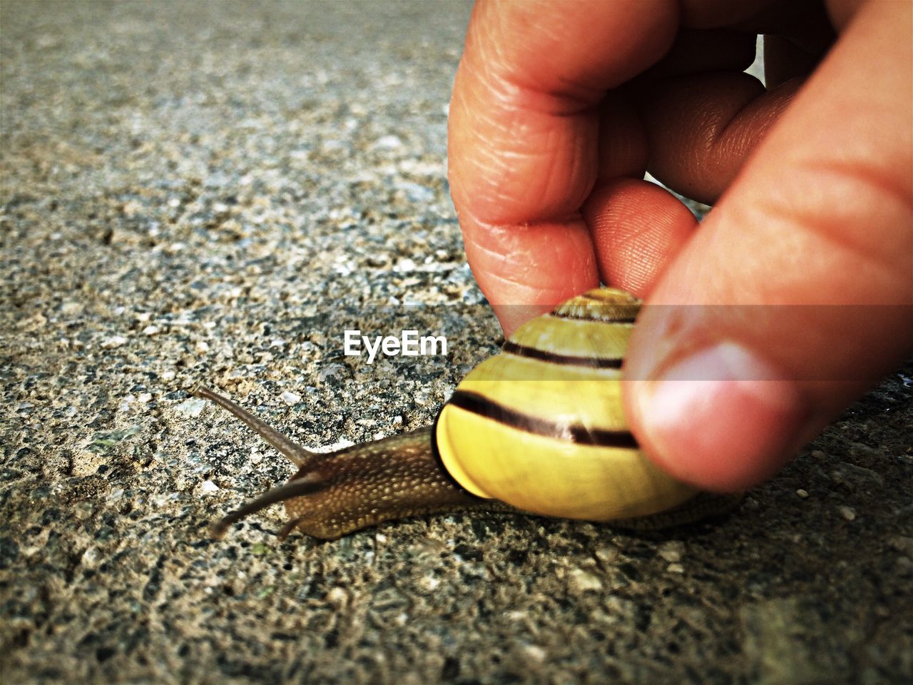 CLOSE-UP OF A HAND FEEDING