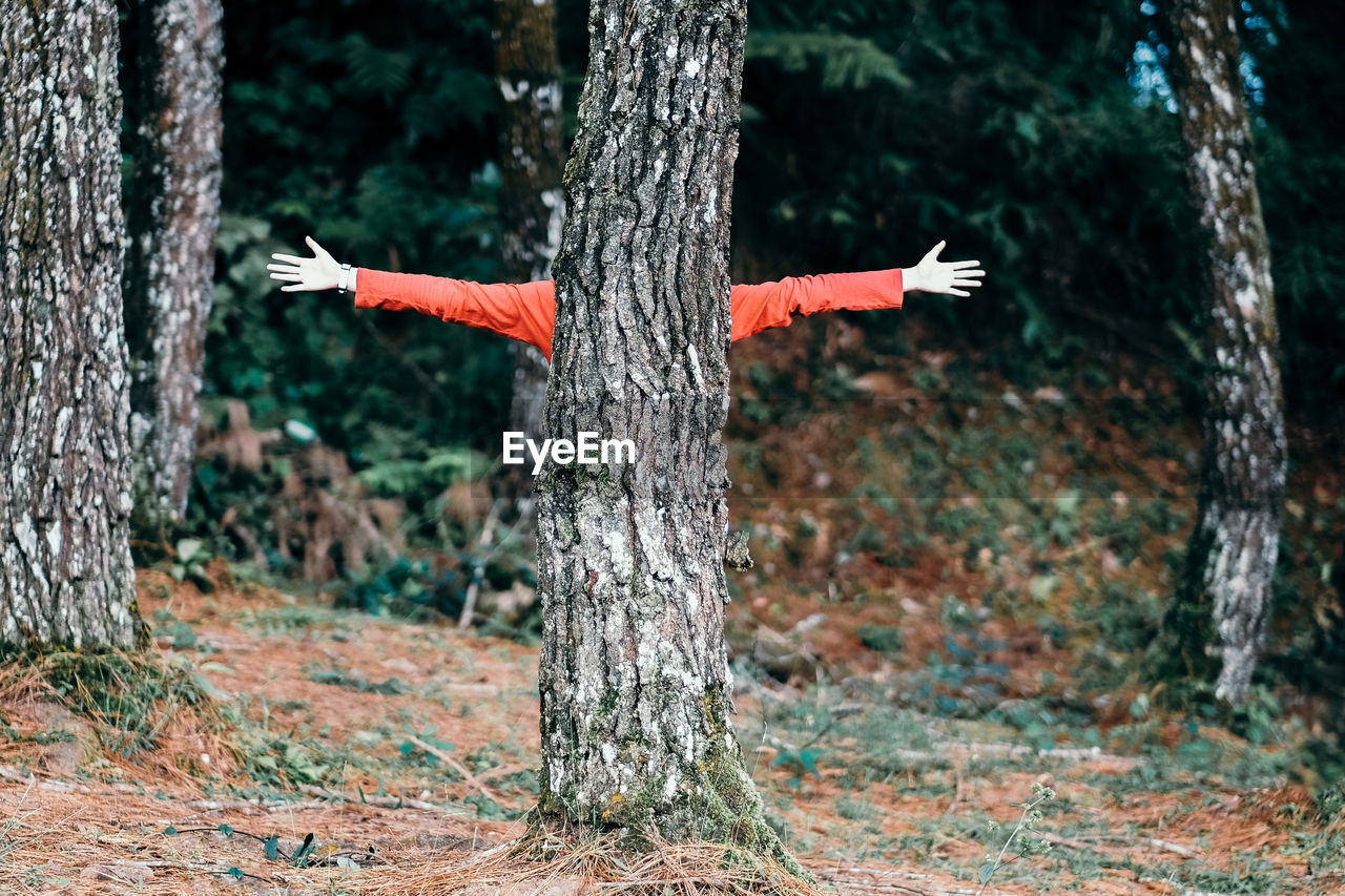 Person with arms outstretched standing against tree in forest