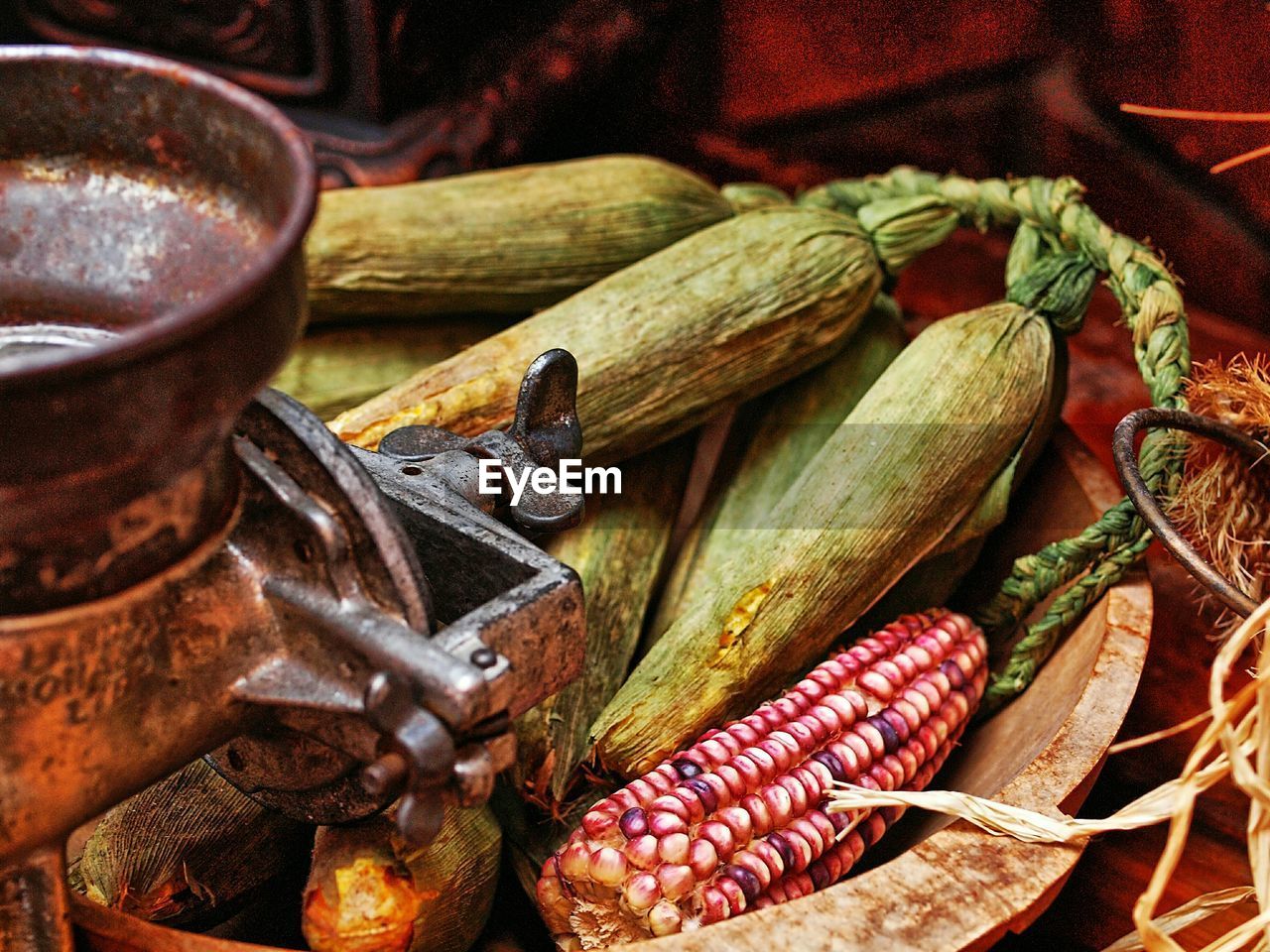 Close-up of corn cobs