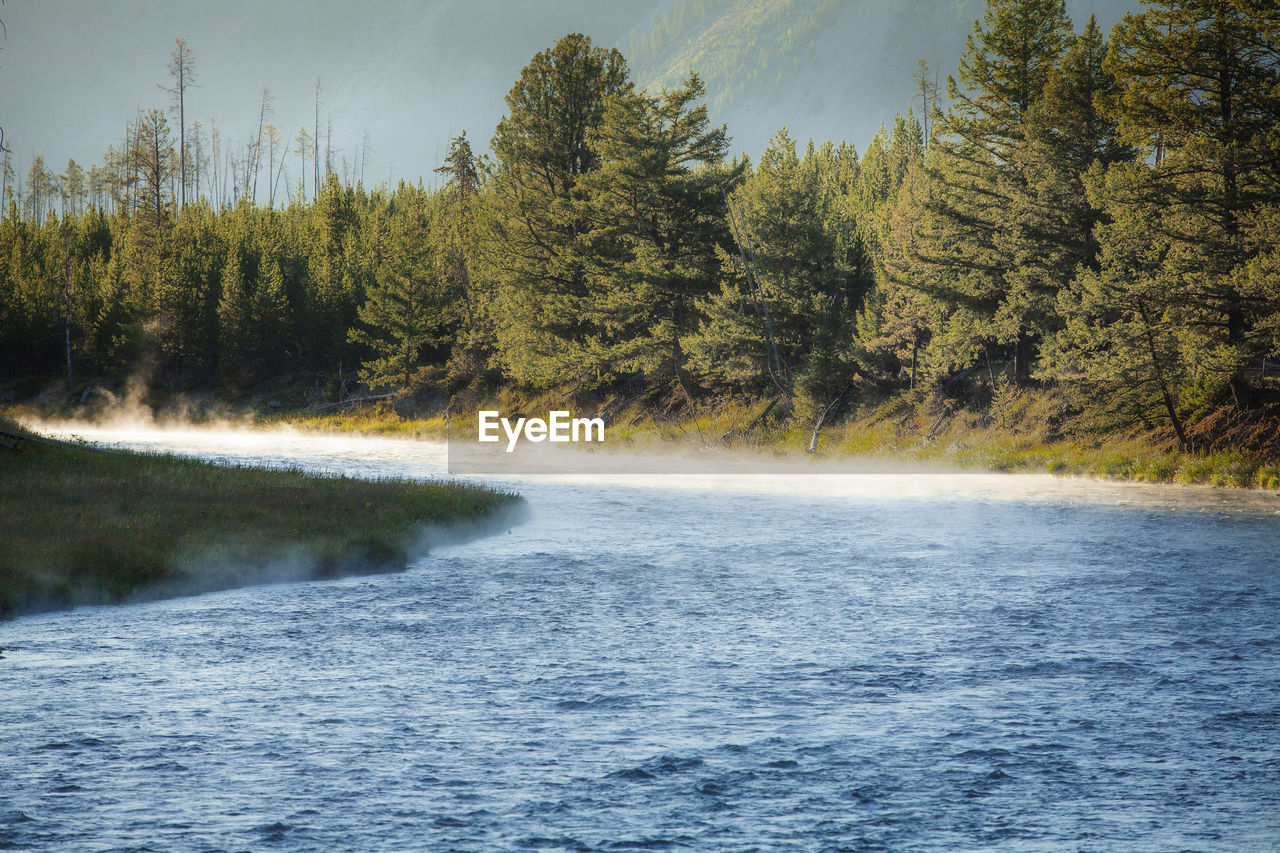 Yellowstone national park madison river morning steam