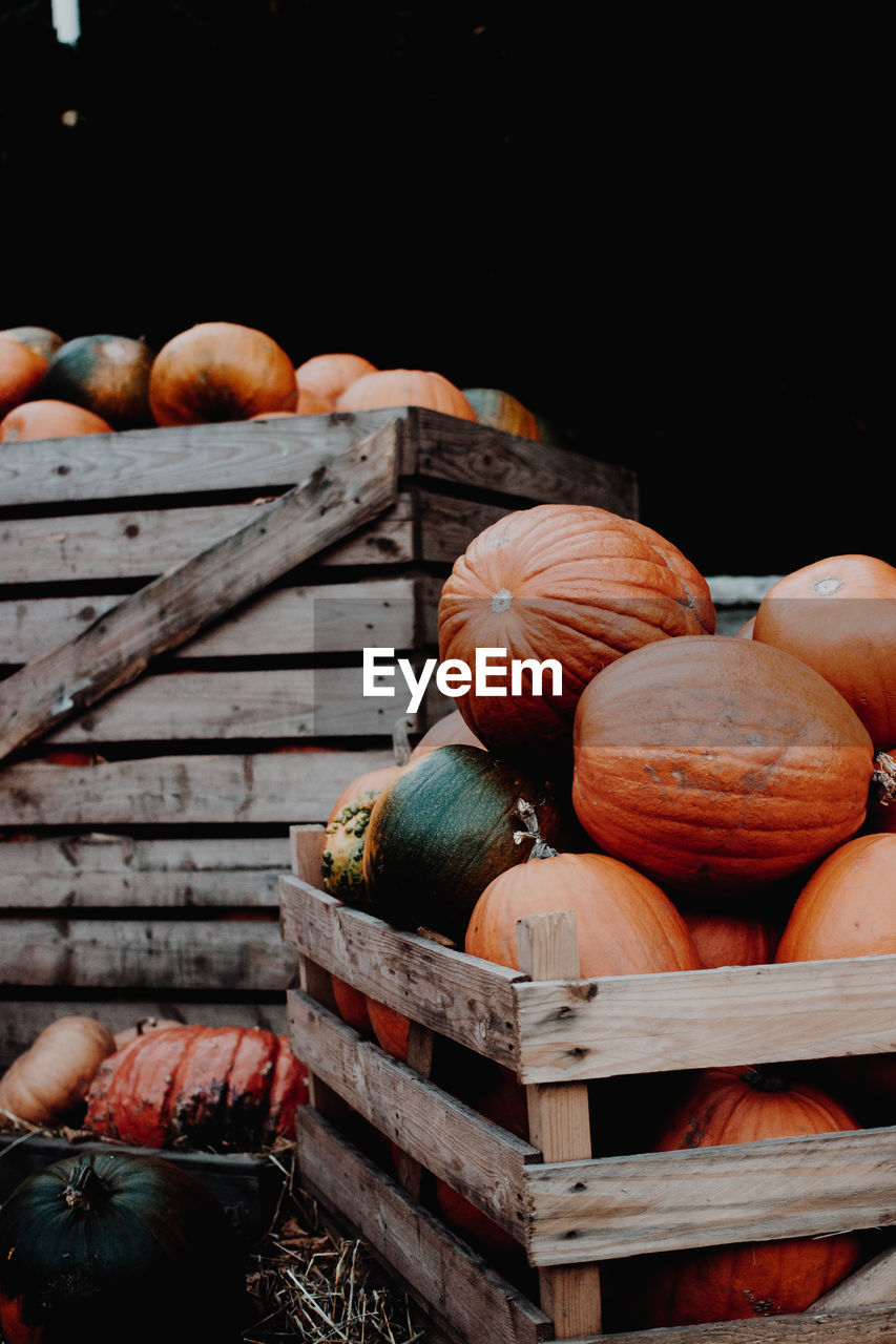 Pumpkins in wooden crates for sale