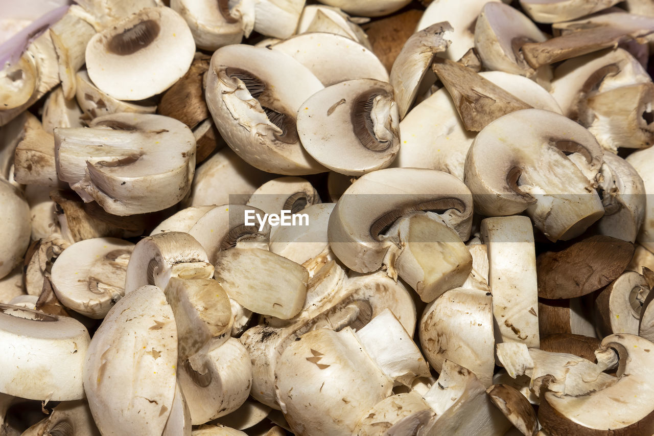 oyster mushroom, food, pleurotus eryngii, food and drink, mushroom, large group of objects, freshness, no people, agaricaceae, abundance, high angle view, still life, agaricus, wellbeing, close-up, healthy eating, full frame, raw food, edible mushroom, backgrounds, day, market, shell