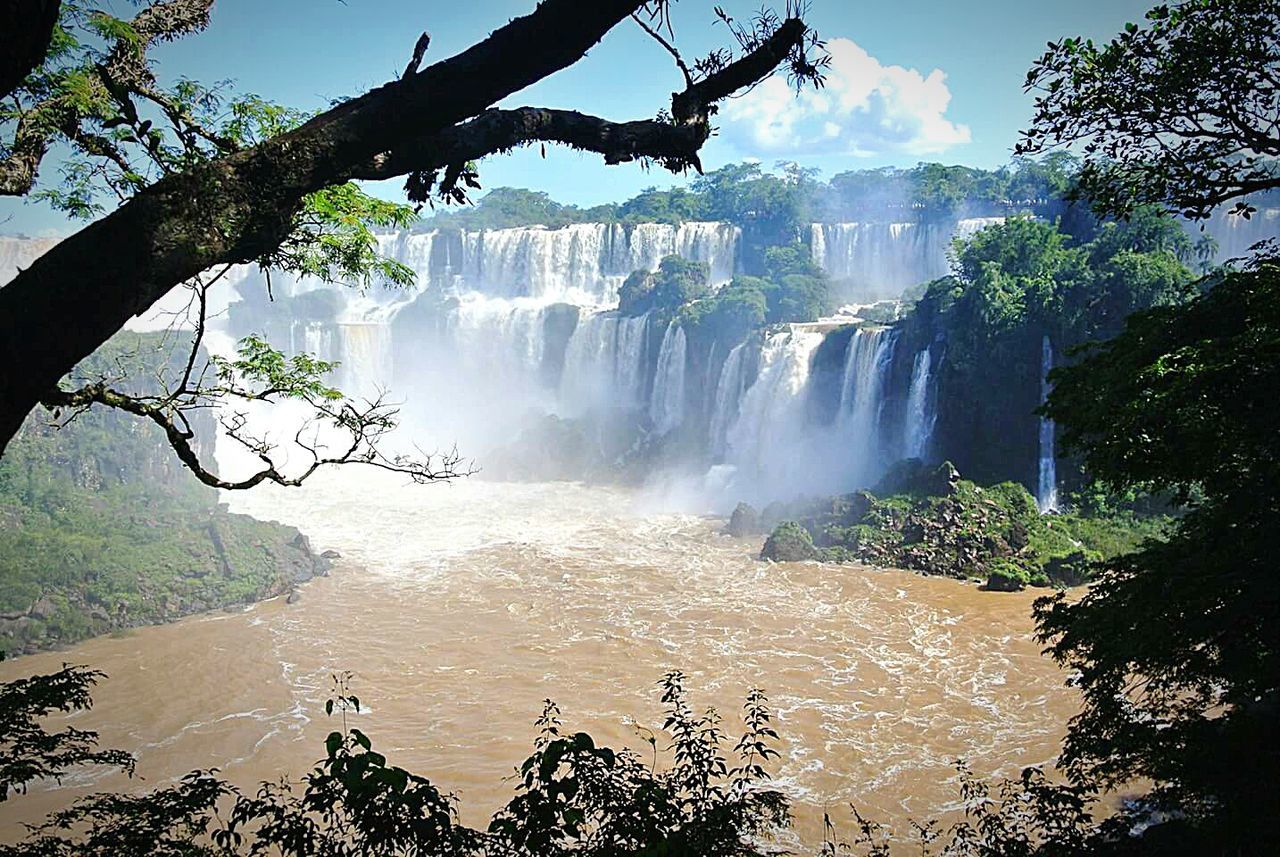 WATERFALL WITH TREES IN BACKGROUND