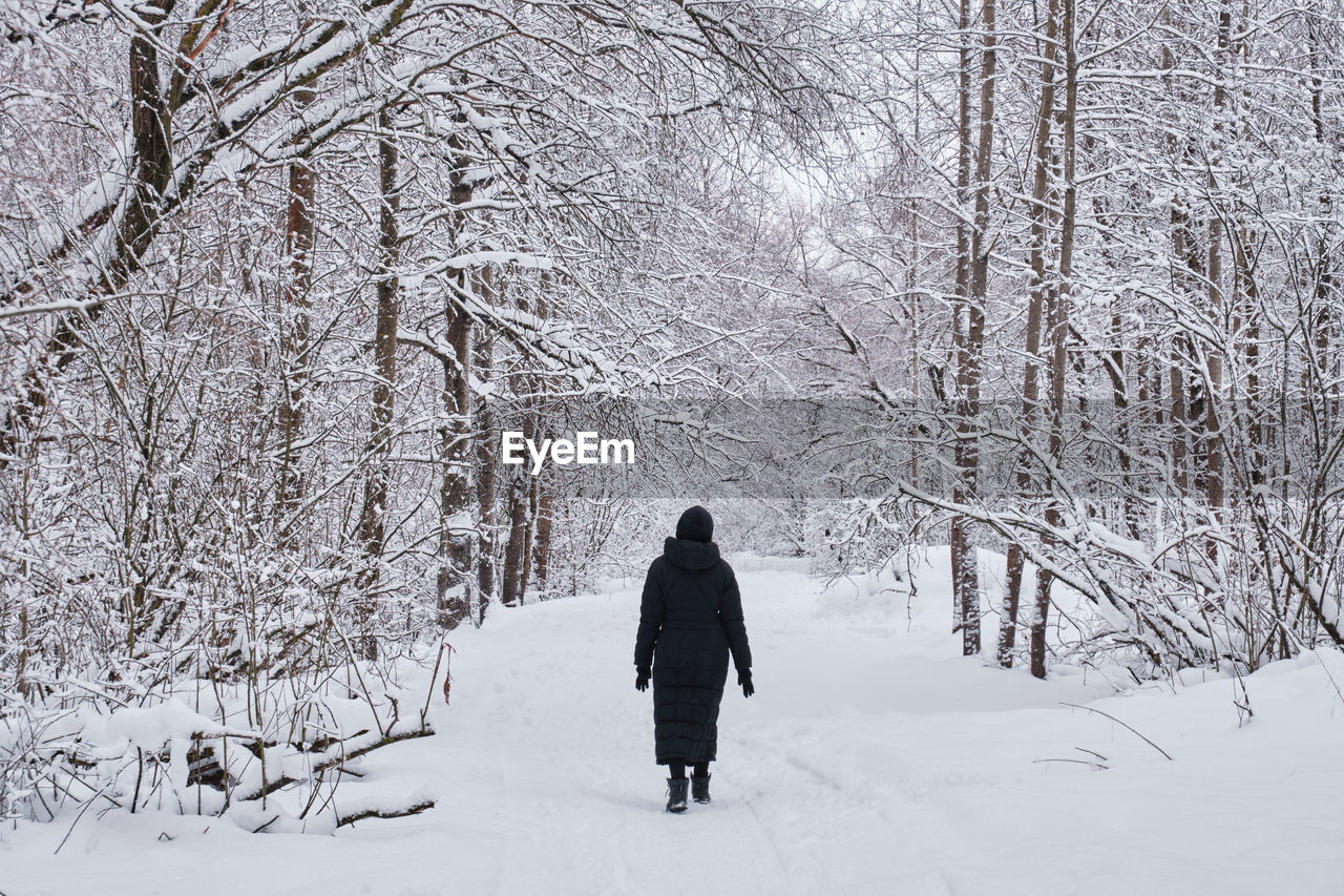 A woman walks alone in a snow-covered park among trees