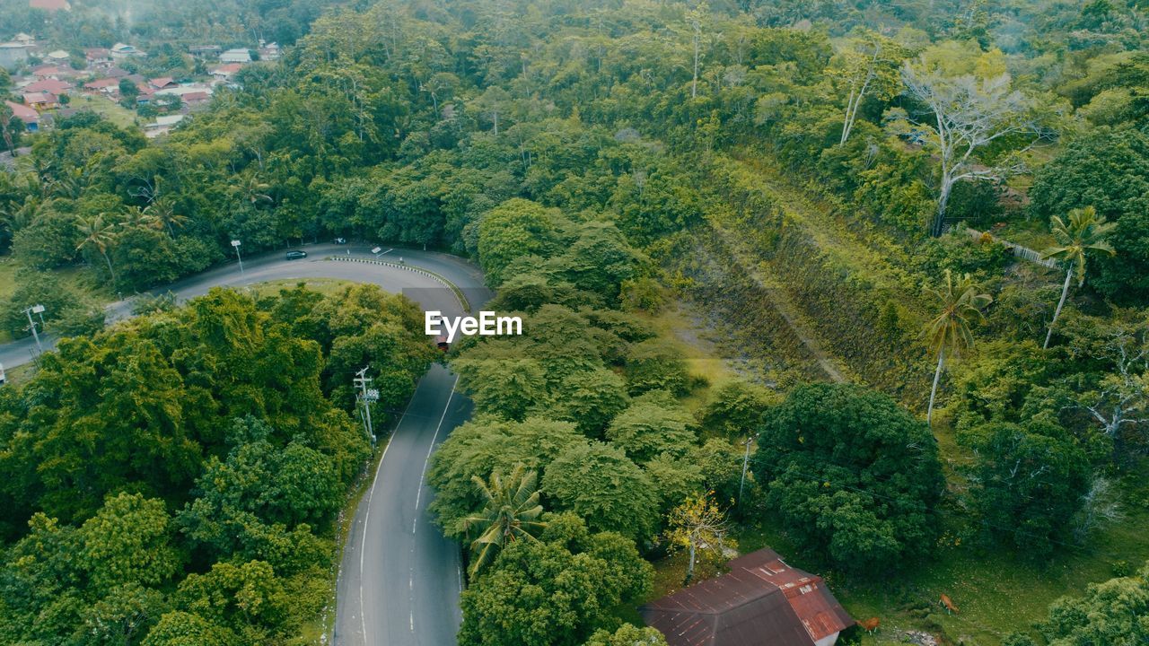 HIGH ANGLE VIEW OF ROAD AMIDST TREES