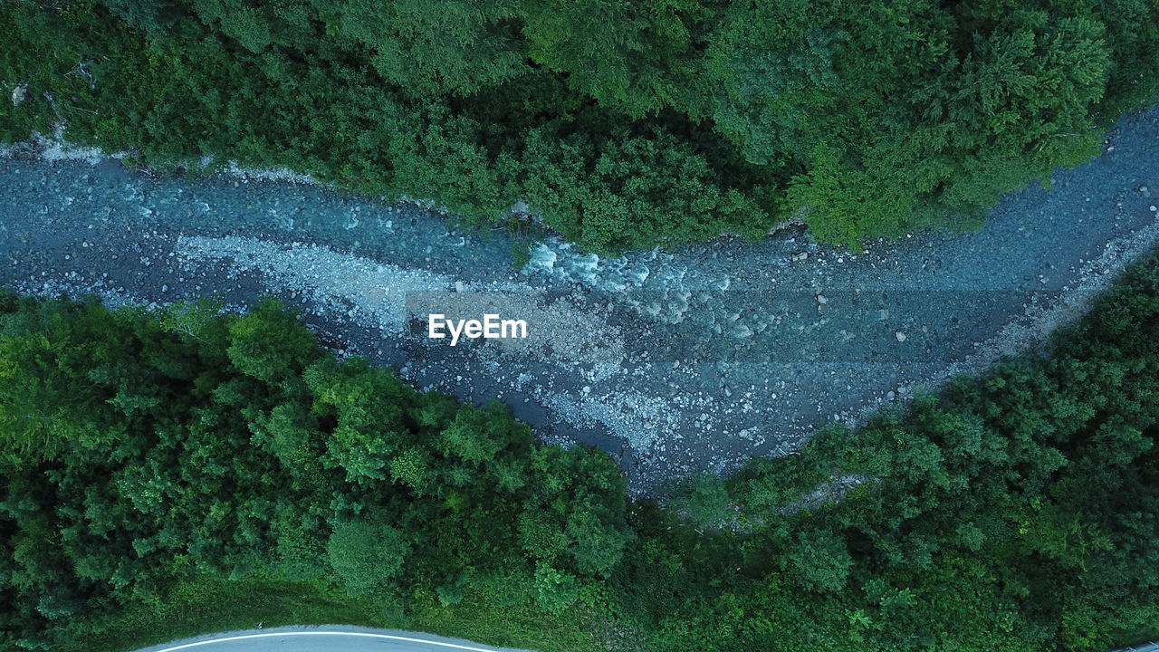 HIGH ANGLE VIEW OF TREES ON LAND