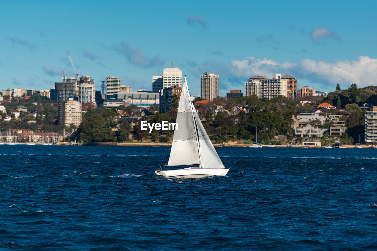 Boat with white sail, yacht sailing sydney harbour on sunny day