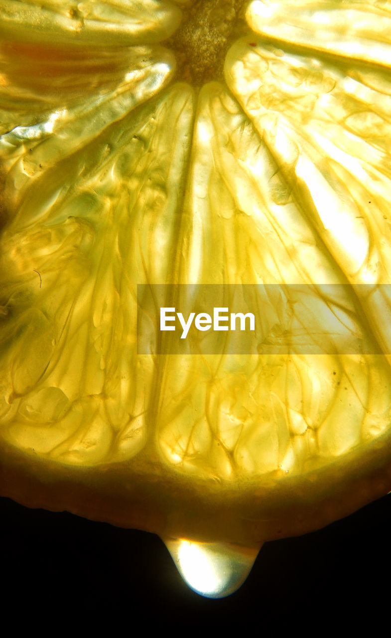 Close-up of lemon slice against black background