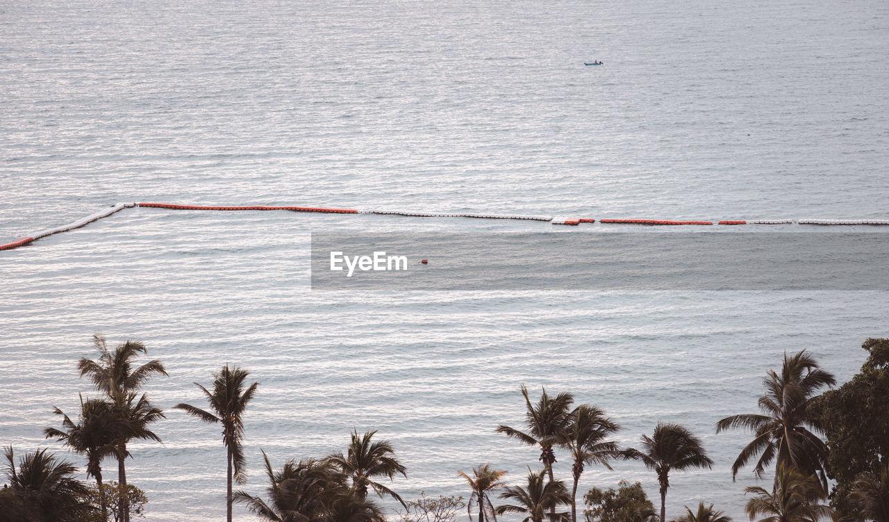 HIGH ANGLE VIEW OF PALM TREES AT BEACH