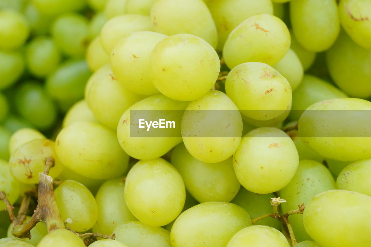 FULL FRAME SHOT OF FRUITS FOR SALE