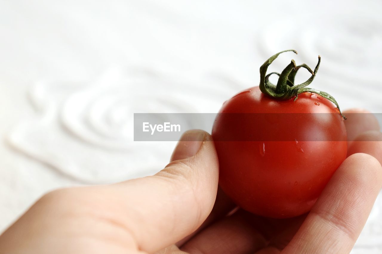 Close-up of hand holding tomatoes