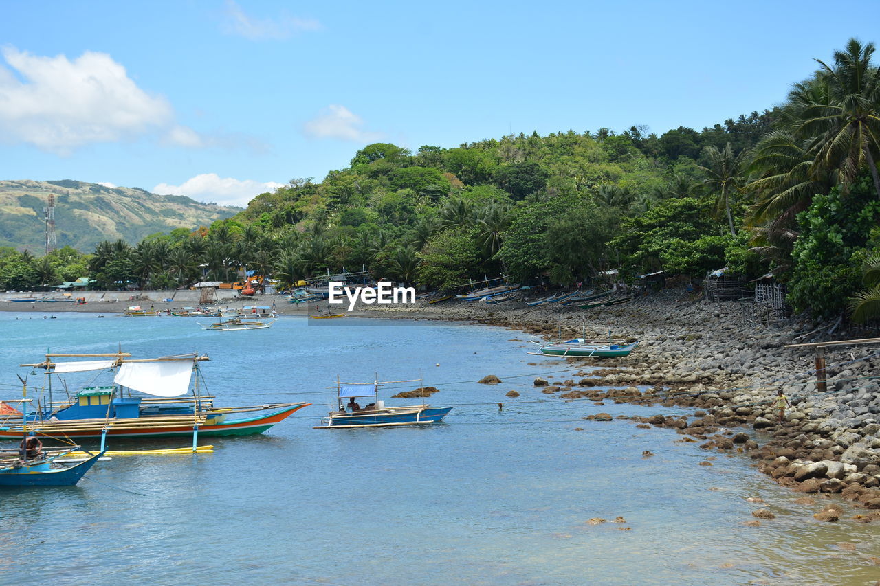 BOATS MOORED ON SEA BY TREES AGAINST SKY