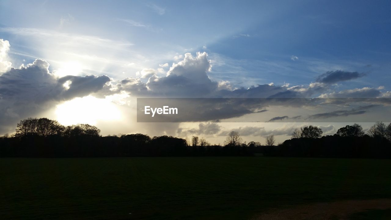 Silhouette trees on field against sky during sunset