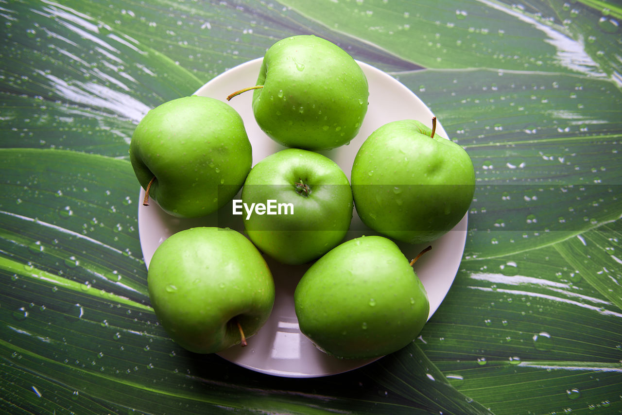 High angle view of granny smith apples in plate on table