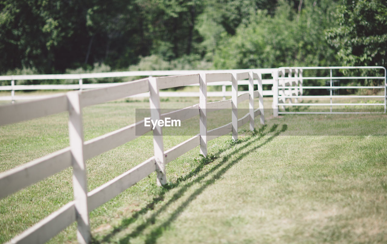 RAILING AGAINST TREES ON FIELD