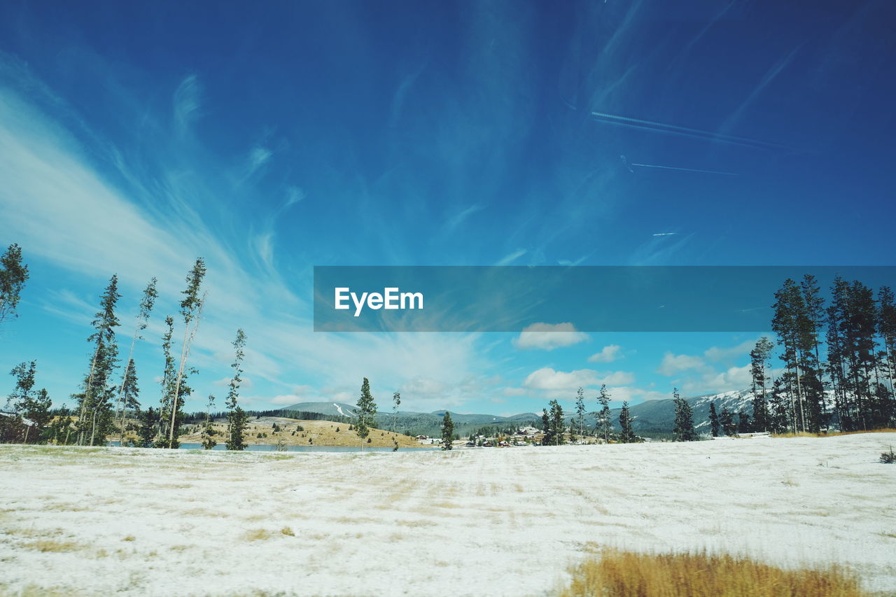 Scenic view of snowy field against blue sky