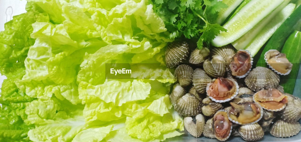 Close-up of clams and salads 