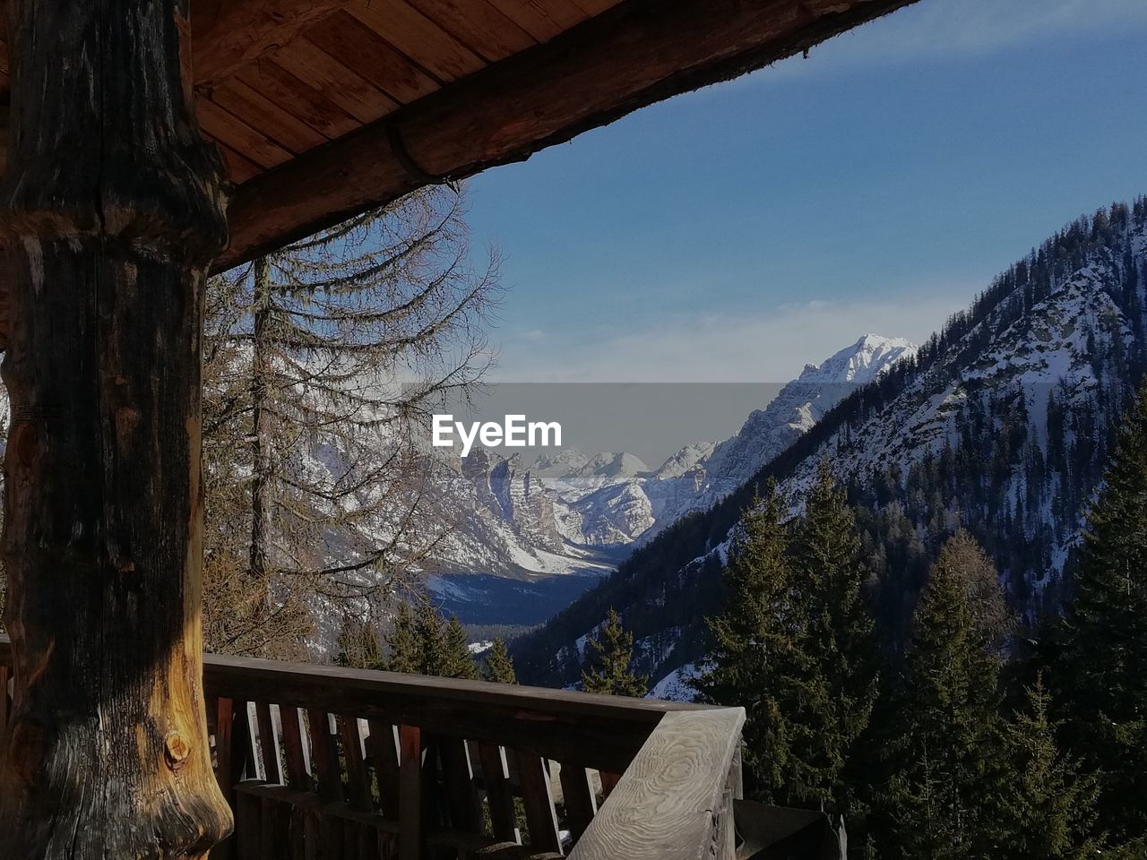 SNOW COVERED TREES AGAINST MOUNTAINS