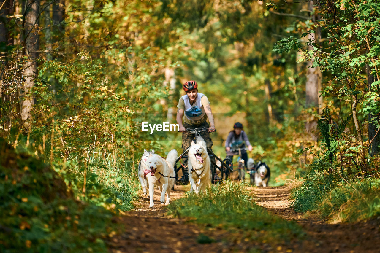 PEOPLE WITH DOG IN BACKGROUND