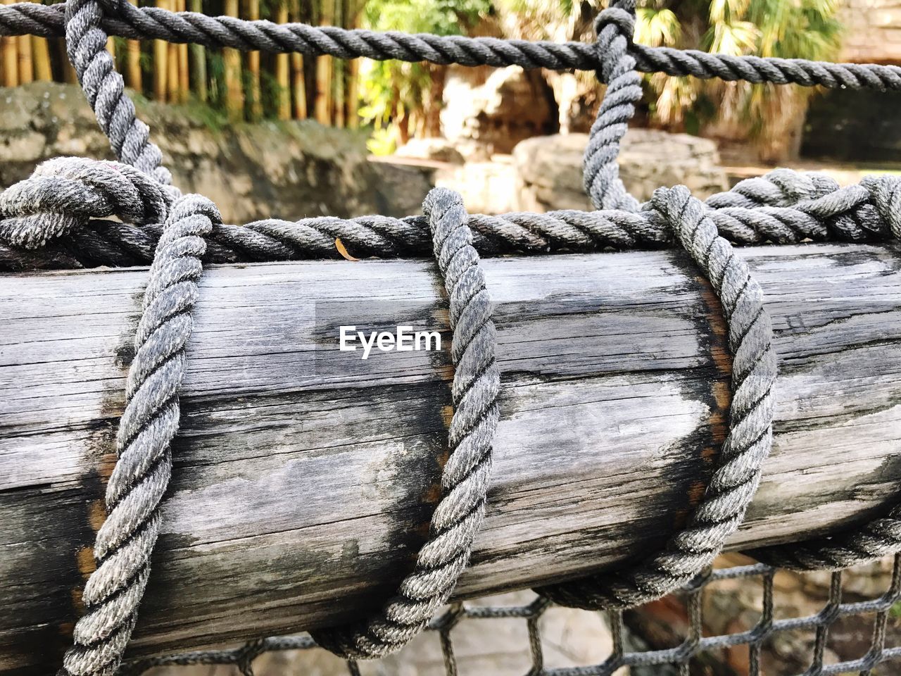 Close-up of rope tied to log