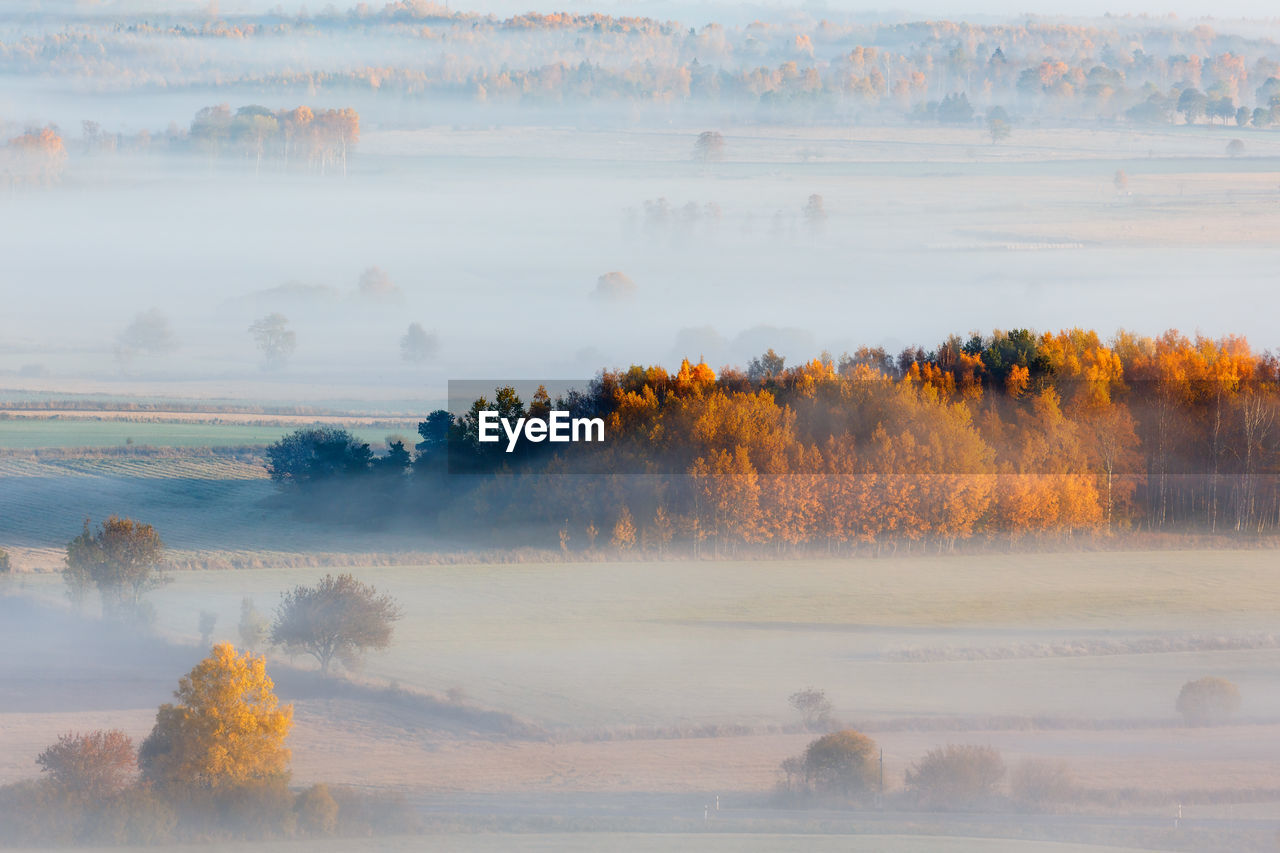 Autumn fog over the fields and forests in the countryside