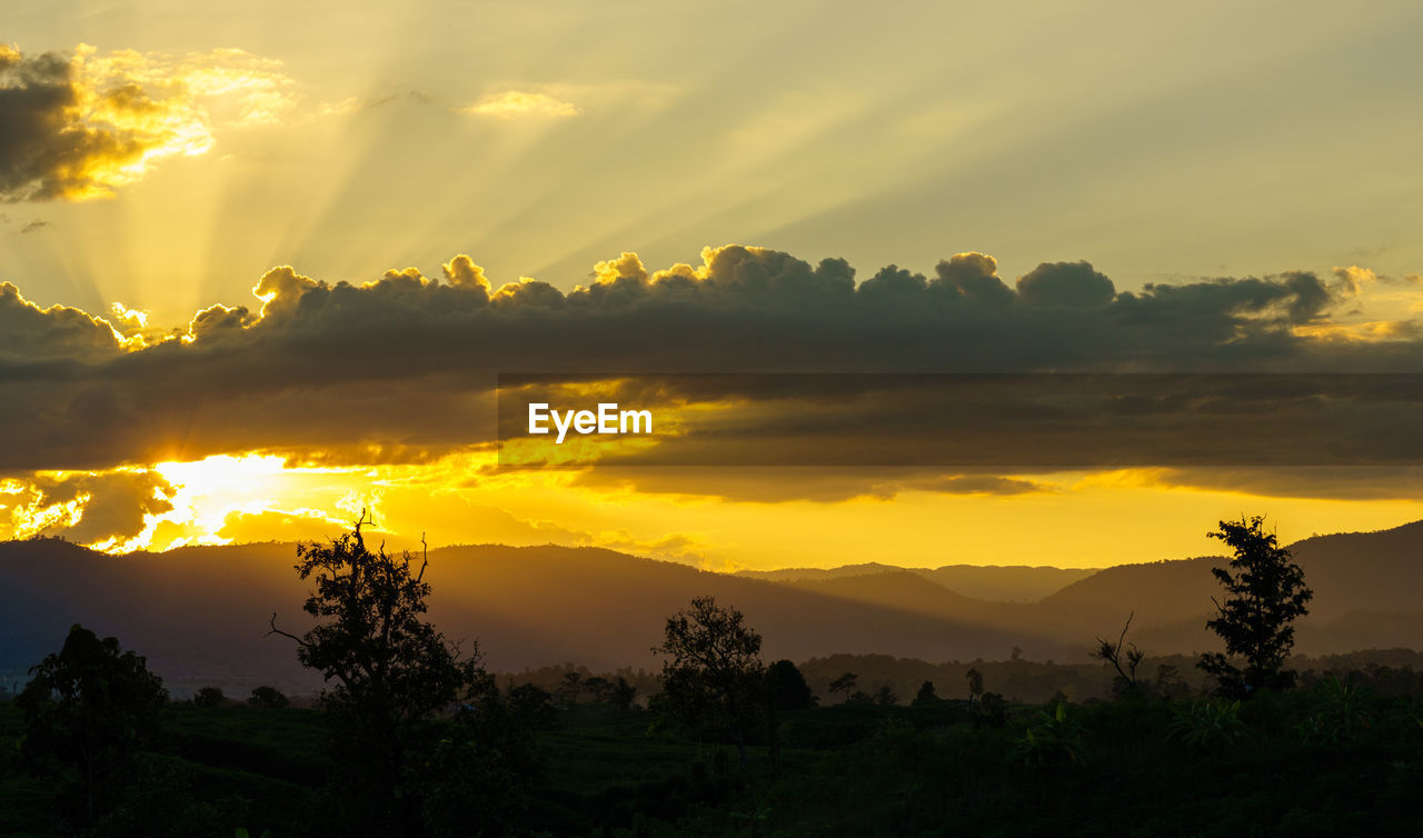 environment, sky, landscape, cloud, beauty in nature, scenics - nature, sunset, mountain, tree, nature, sun, plant, land, sunlight, forest, travel, fog, tranquility, sunbeam, travel destinations, silhouette, dramatic sky, mountain range, no people, tourism, yellow, outdoors, twilight, tranquil scene, dawn, gold, afterglow, idyllic, non-urban scene, social issues, rural scene, vacation, holiday, trip, horizon, mountain peak, evening, cloudscape, atmospheric mood, multi colored, summer, orange color, light - natural phenomenon, igniting, field, tropical climate, back lit, valley, awe, religion, vibrant color, backgrounds