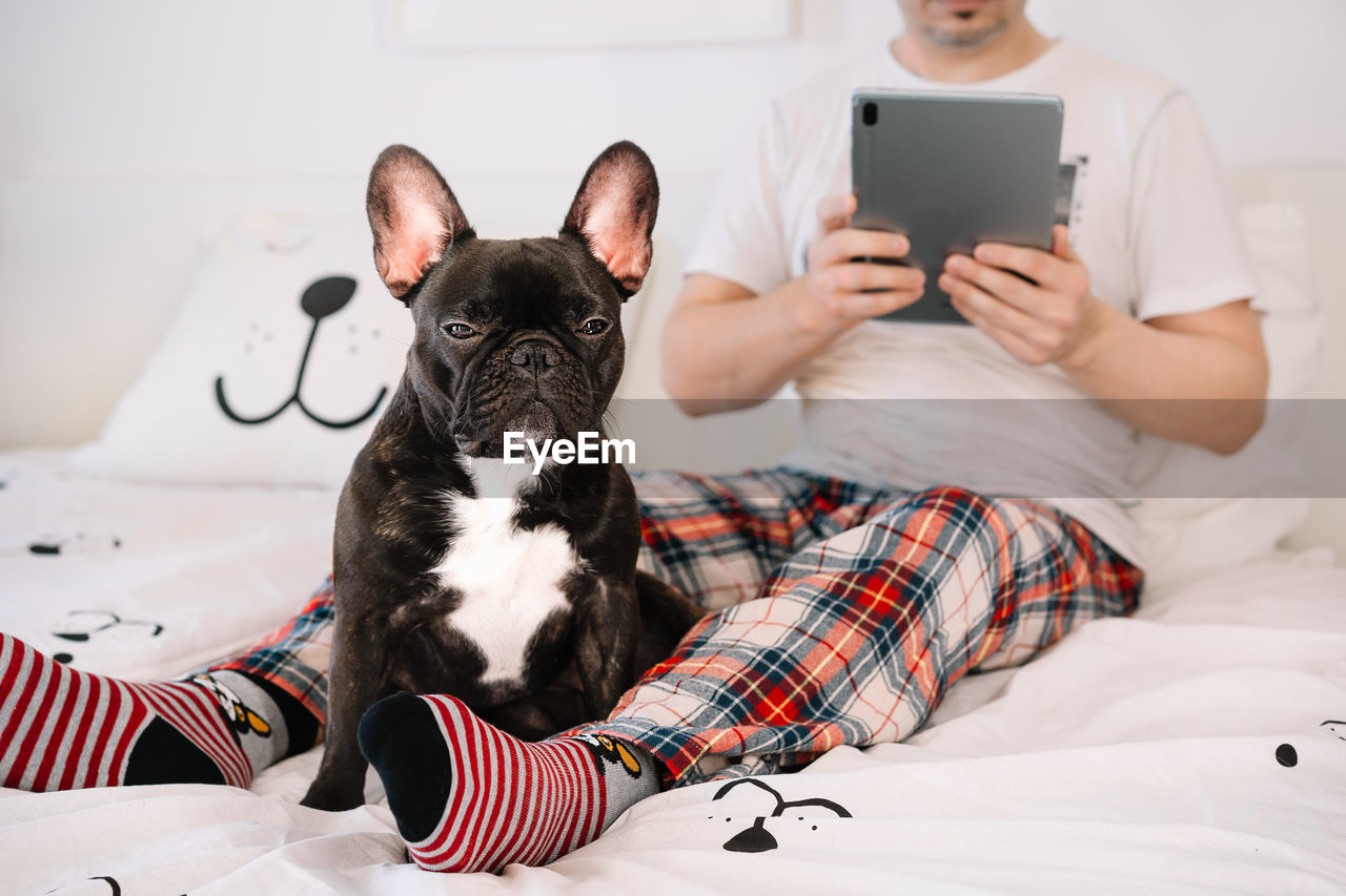 Dog owner and french bulldog relaxing on bed at home