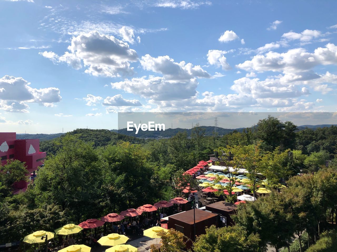 HIGH ANGLE VIEW OF TREES BY PLANTS AGAINST SKY