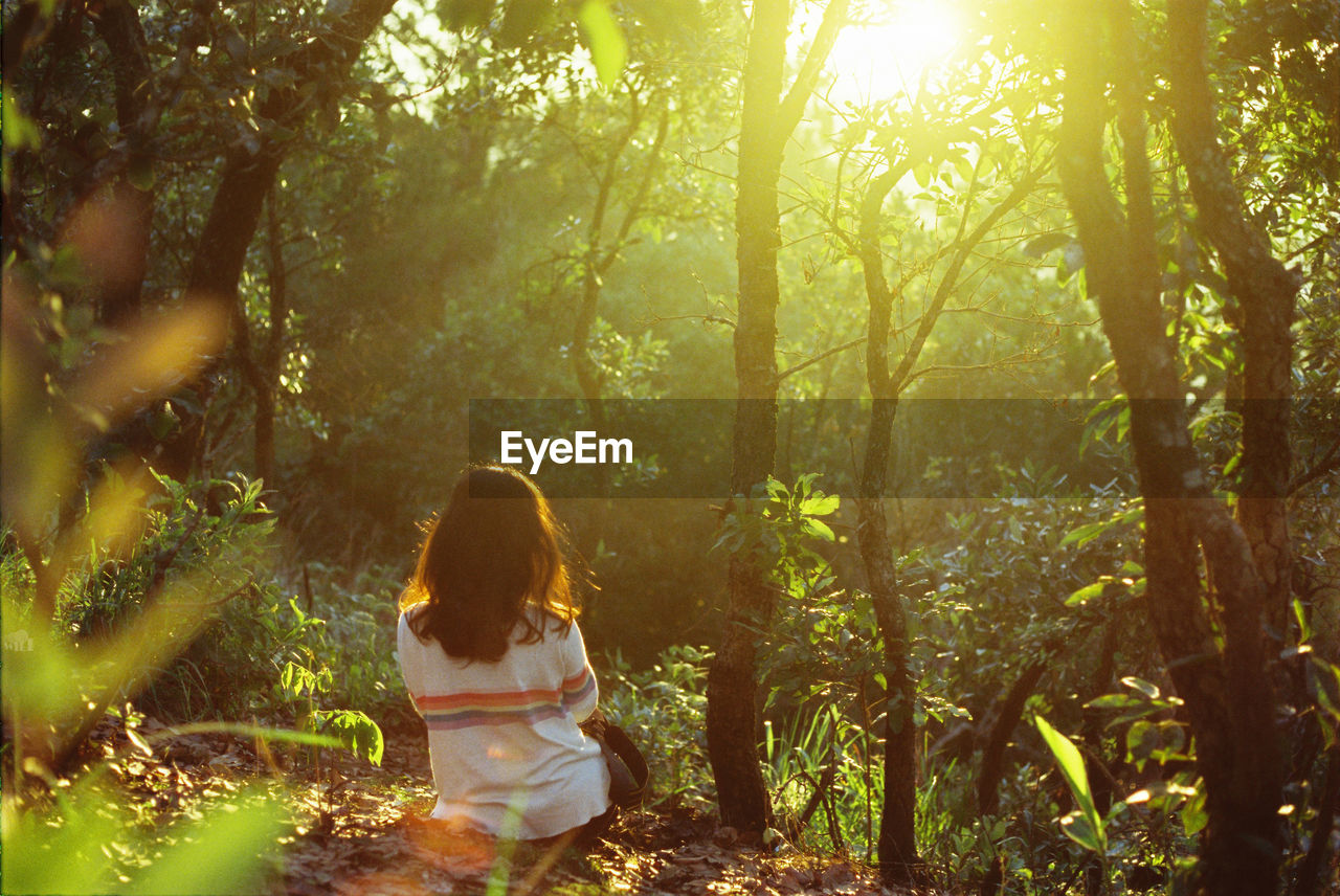 Rear view of woman sitting by trees at forest